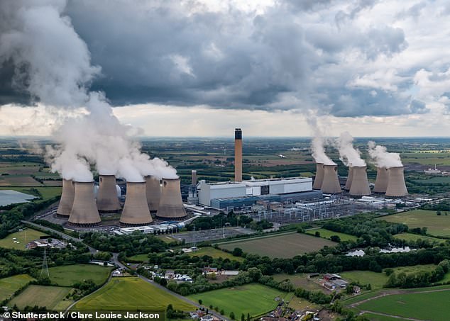 Environmentally friendly?: Drax now produces electricity by burning wood pellets, known as biomass, and receives a controversial government subsidy