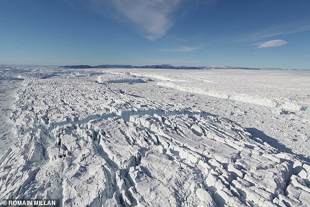 Greenland's eight floating ice shelves have shrunk by more than 35 percent since 1978, with three completely collapsing, scientists warn.