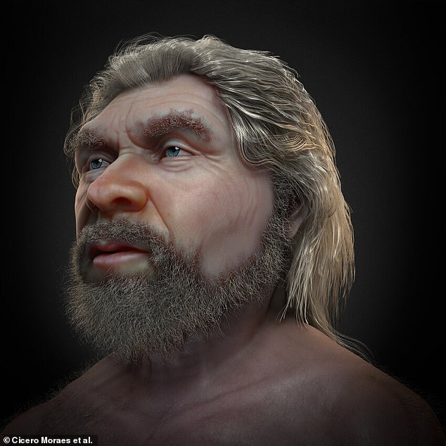 Researchers have reconstructed the face of a man who lived 56,000 years ago using skeletal remains found in France 115 years ago.  This revealed a 'handsome' old man with a long beard