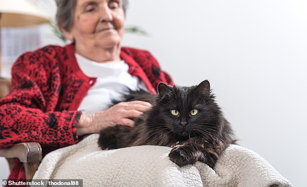 Researchers in the US and Spain took blood samples from 600 people over 65 and found that two-thirds showed signs of previous infection with a parasite spread by cats.  Analysis suggested that those who showed signs of a severe infection were more likely to be frail - meaning they suffer from reduced muscle strength and fatigue and take longer to recover from mild health problems