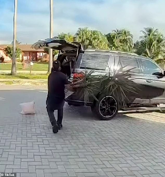 The man returns to the porch and grabs a large potted plant, which he wrestles into the car before driving away