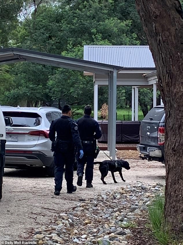 Police and sniffer dogs swarmed Erin Patterson's home in Leongatha on Thursday (above)