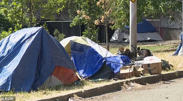 A residential encampment in Portland, Maine known as 'The Pit'