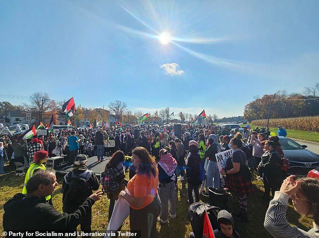 As Biden spoke at Arlington National Cemetery for a Veterans Day service, hundreds of pro-Palestine supporters descended on his Delaware mansion, where they criticized U.S. support for Israel as the Middle East conflict escalates.