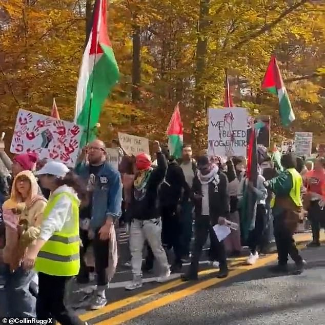 Lines of protesters were seen marching toward Biden's home, where the demonstration paused as speakers called for a ceasefire