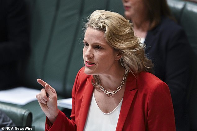 Ms O'Neil (pictured during Question Time) struggled to answer the question of whether sex offenders were wearing ankle bracelets, more than 18 hours after WA's police commissioner confirmed four offenders in his state were not fitted with the devices