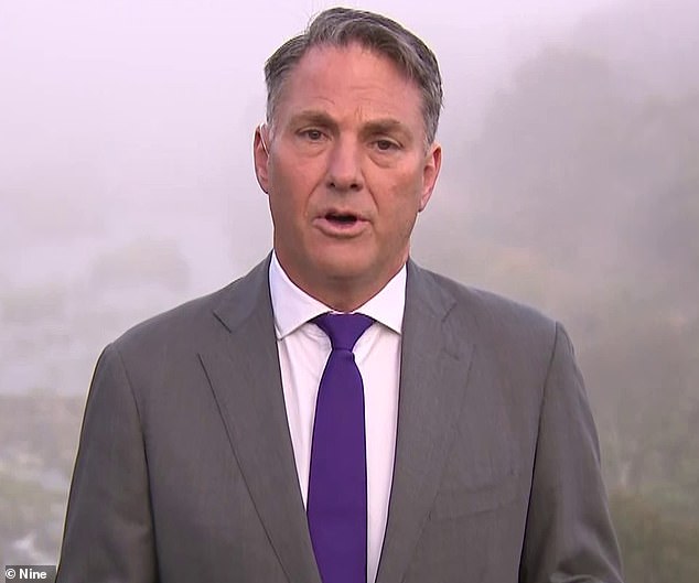 Acting Prime Minister Richard Marles told Stefanovic that inflation was a problem in many countries and was higher under the former Liberal government