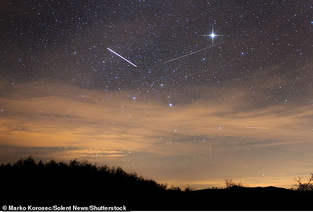 Meteor showers get their name from the region of the sky from which they appear to emerge.  In this case he is a Taurus