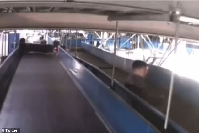 A Chilean boy took a trip down the baggage claim at Santiago's Arturo Merino Benítez International Airport before being rescued by airport baggage workers