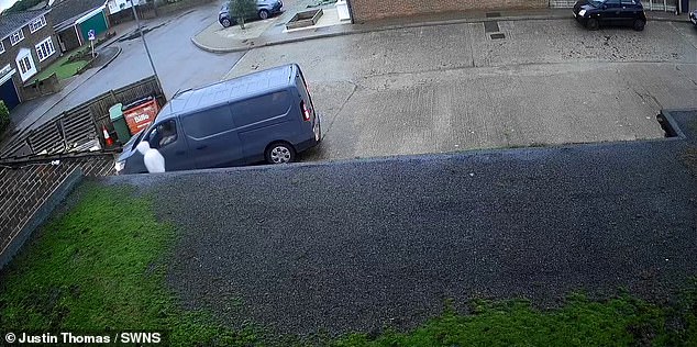 The delivery man was caught on camera arriving at Justin Thomas' home while he was away on Saturday.  Images show the driver pulling up in a van and delivering the package