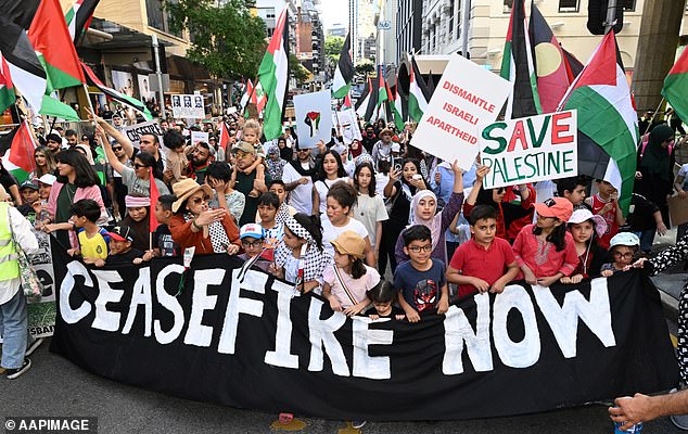 State governments pay more than $1 million for each pro-Palestinian and pro-Israel protest (protesters seen in Brisbane's King George Square on November 12)