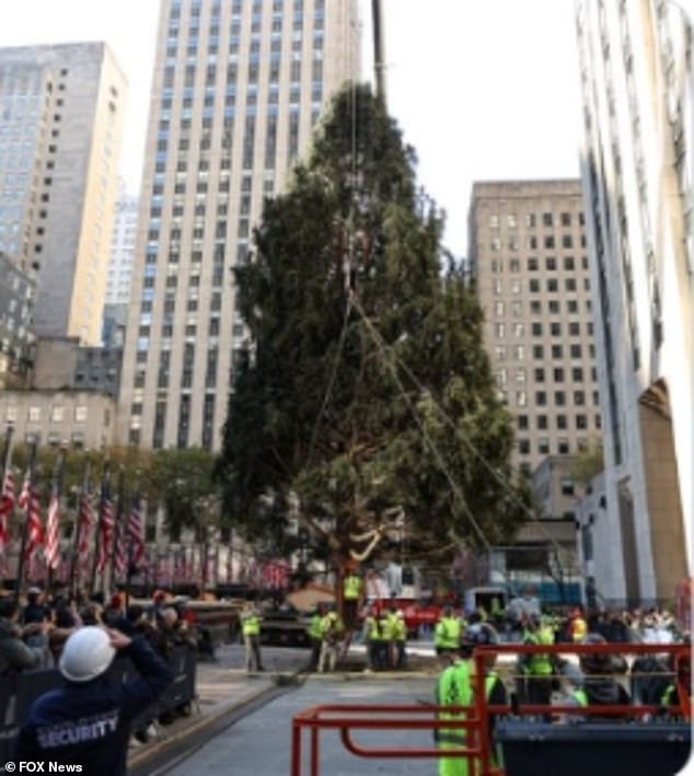 New York City is on high alert after a pro-Palestinian group announced plans to 'flood the tree lighting for Gaza' ahead of the Rockefeller Christmas tree lighting