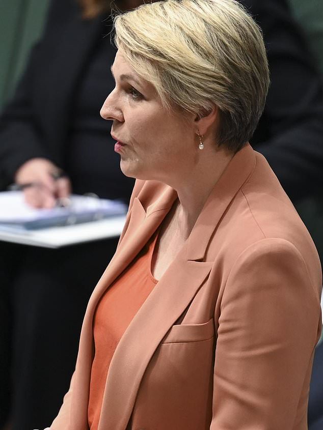 Tanya Plibersek argued that the government needed to know what the Supreme Court would decide before it could solve the problem.  The court has still not given any reasons