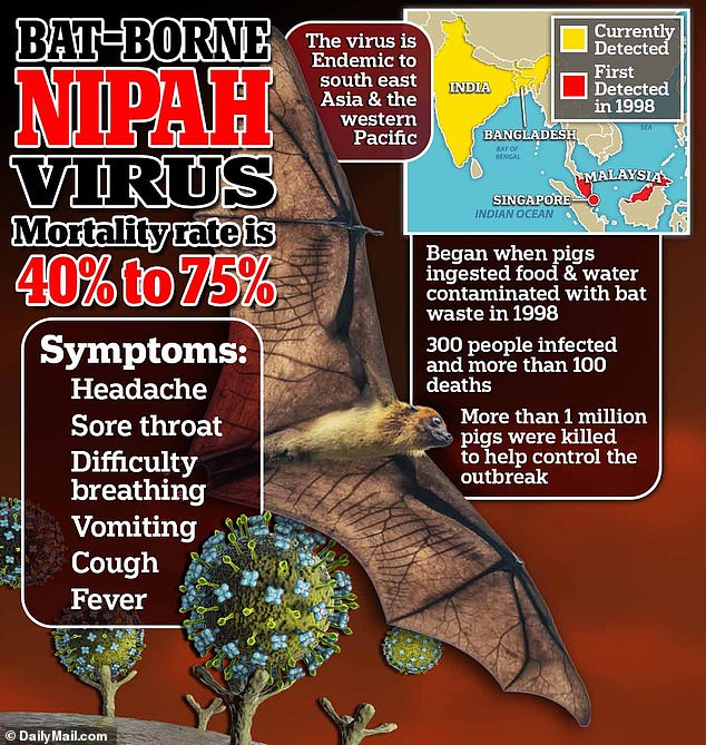 One of the viruses, the Nipah virus, can infect cells with receptors that regulate what comes in or out of the cells that line the central nervous system and vital organs.  This variant has a mortality rate of up to 75 percent compared to that of Covid, which is well below one percent