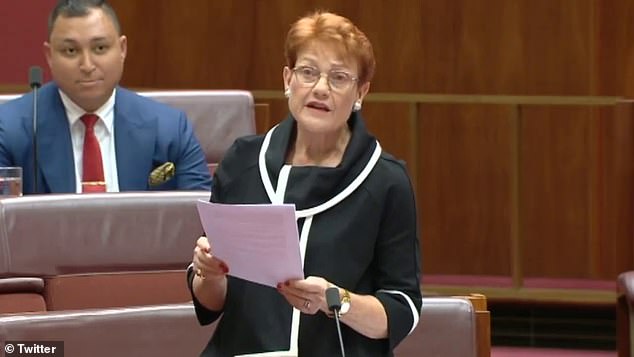 Pauline Hanson has issued a dire warning about Australia's future as she compares Anthony Albanese to a murderous Russian dictator