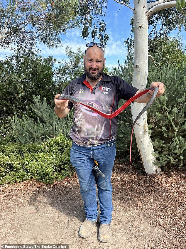 Stewy the Snake Catcher (pictured) on the Gold Coast told his followers on Facebook that he had been affected by the mass outage