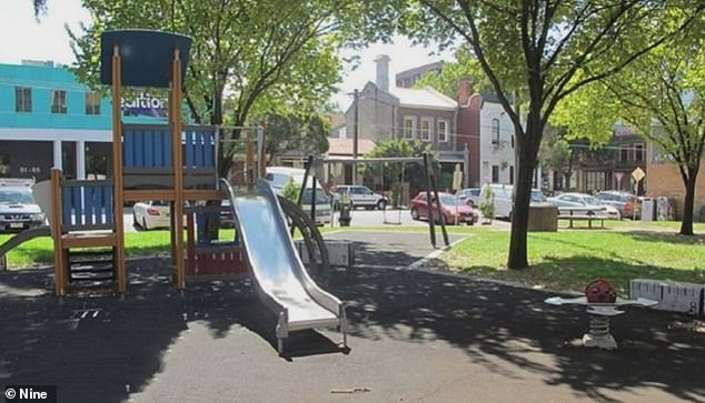 Previously: Before the upgrade, the park had a climbing frame with a slide, a set of swings and a spring seesaw (photo)