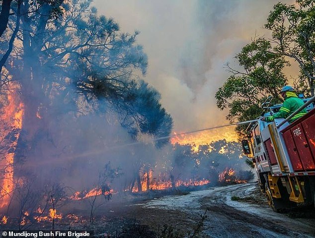 Out-of-control bushfires (pictured) continue to endanger lives and homes as fire rages in bushland south-east of Perth