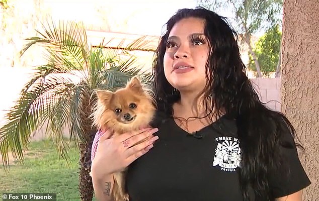 An adorable golden Pomeranian named Princess has been reunited with her family in Arizona more than five years after the theft.  (Photo: Daisy Gonzalez with her beloved pet princess)