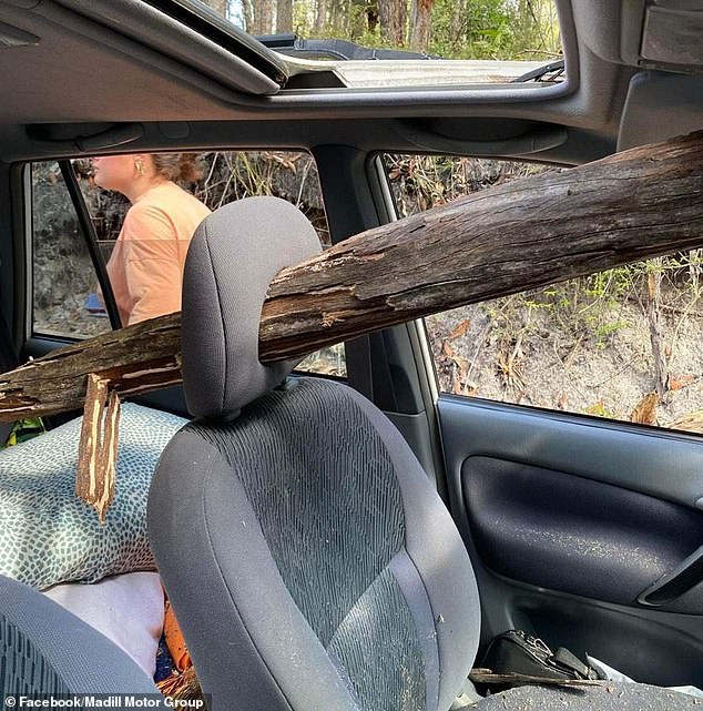 Fortunately, the front seat passenger was able to get out of the way when the tree branch crashed into the vehicle and punctured the headrest of the front passenger seat.