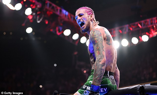 Sean O'Malley is set to defend his UFC bantamweight title after winning it in August