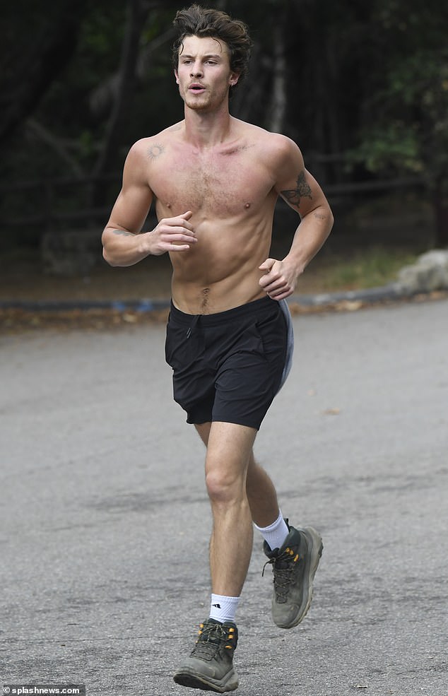 Stepping Out: Shawn Mendes showed off his sculpted torso by going shirtless this week while working up a sweat in Los Angeles