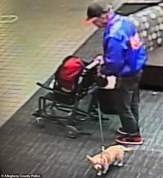 A few hours earlier, the dog walked through the airport with a man pushing a luggage cart, CCTV footage showed.