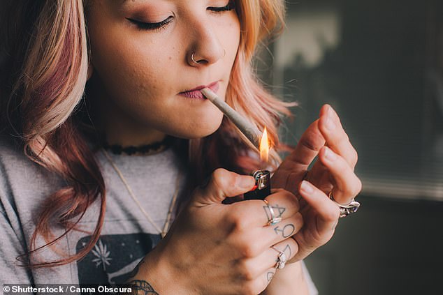 Those who regularly smoked cannabis showed increased activity in brain areas linked to reading the emotions of others, compared to a group of non-users, a new Mexican study found