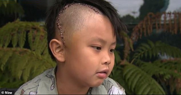 Jayden Pham, seven, was put into a coma due to a brain haemorrhage after he was hit multiple times in the head by another student at St John Vianney's Primary School in Mulgrave, Melbourne, on October 17.