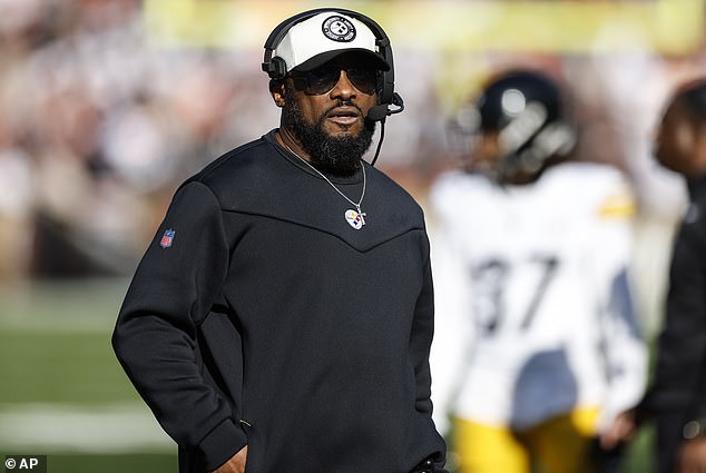 Steelers head coach Mike Tomlin said Johnson needed to better manage his emotions