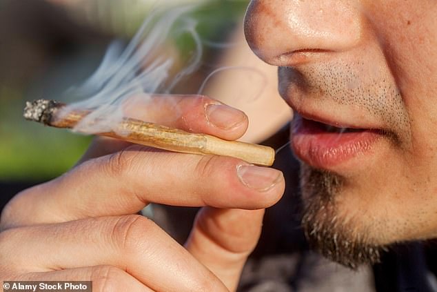 Researchers warned that data 'strongly indicated' that 'cannabis use at any time, whether recreational or medicinal', was not without risks (Stock Image)