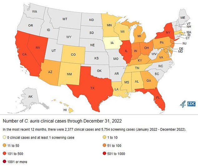 Nevada had the highest number of cases in the US last year with 384. Next is California with 359 cases and Florida with 349.