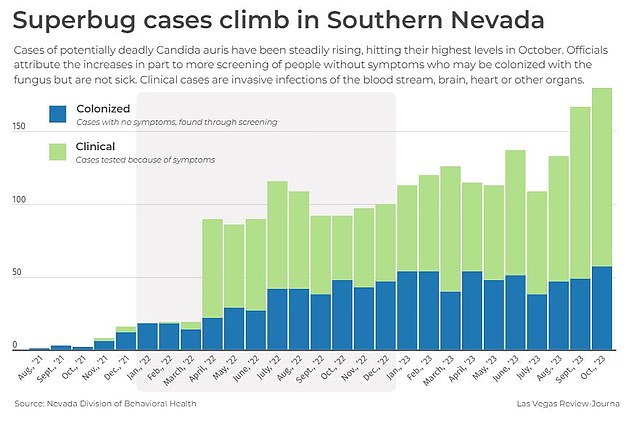 Super fungus infections rise to highest levels ever in parts