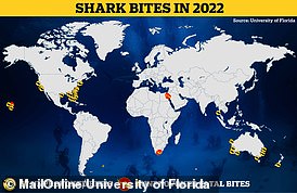 The majority of unprovoked shark attacks last year were recorded in the US and Australia, but some bites also occurred in New Zealand, Thailand and Brazil