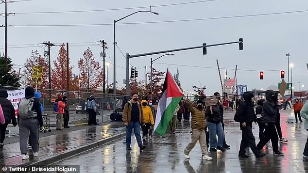 Pro-Palestinian protesters gathered around Pier 7 in the Port of Tacoma, Washington, on Monday to try to block US aid to Israel (photo)