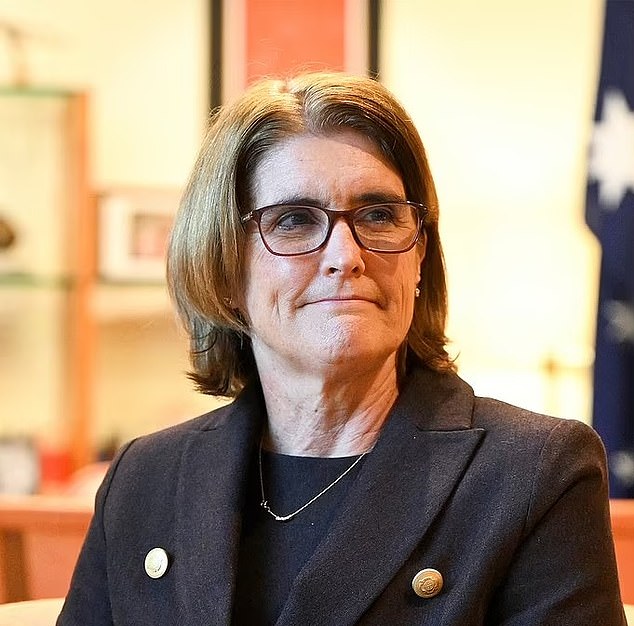 Inflation is already moderating and the OECD expects it to return to the Reserve Bank of Australia's two-three target by early 2025.  Pictured is Reserve Bank Governor Michelle Bullock