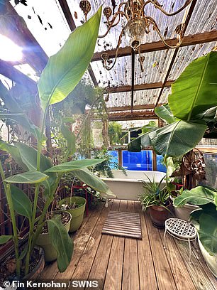 Despite being only 30 square meters in size, their unique space features a bathroom that doubles as a greenhouse