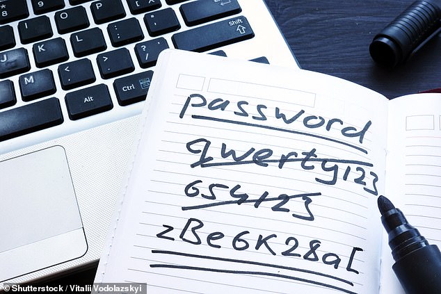 Easy to crack: New research finds that '123456', 'admin', 'password' and 'user' are once again among the most popular login phrases in the world (stock image)