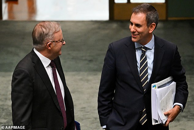 When interest rates continue to rise, fixed income assets such as government bonds are a safer investment (pictured are Prime Minister Anthony and Treasurer Jim Chalmers)