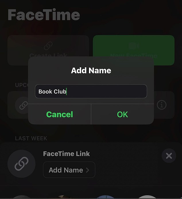 The creator of the FaceTime link can add a name to the group explaining what the call is about.
