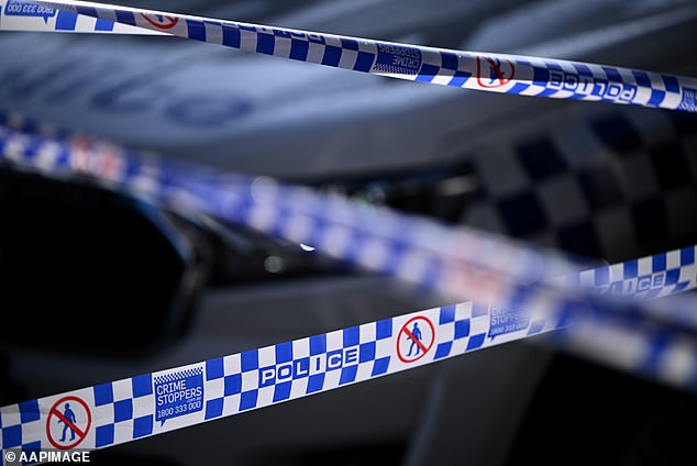 Police are very concerned for the girl's safety due to her young age and say she may be traveling on public transport around Logan or areas near the Gold Coast