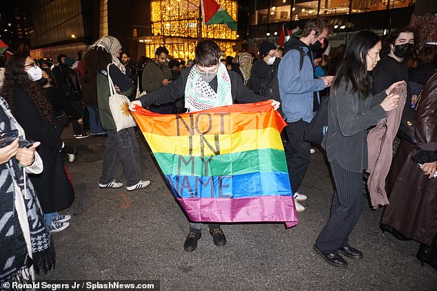 A pro-Palestinian protester is seen in New York City, demanding an end to the war between Israel and Hamas