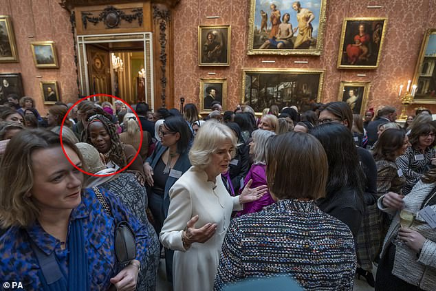 Ms Fulani said she was 'offended' at Buckingham Palace reception to raise awareness about violence against women and girls