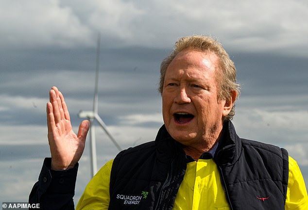 Billionaire Andrew 'Twiggy' Forrest is Australia's largest owner of renewable energy projects: Squadron Energy