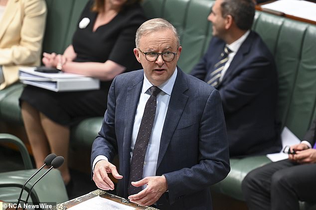 Labor aims for the country to reach 82 per cent renewables by 2030 – up from around a third now – to reach net zero emissions by 2050 (photo, Anthony Albanese)