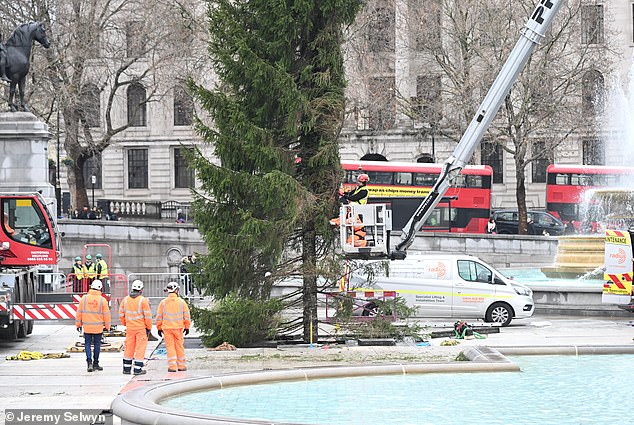 Since the Second World War, Norway has sent a tree in recognition of British aid