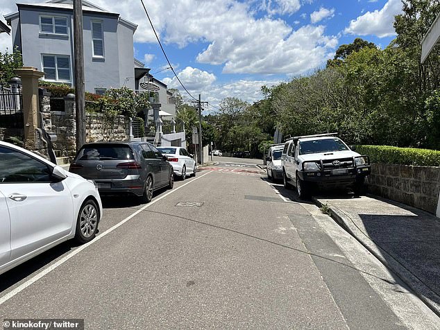 Edward Morris, CEO of the Physical Disability Council of NSW, criticized the solution as it forces pedestrians onto the road to walk around parked cars, putting them at risk