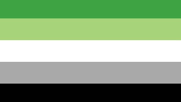 The aromantic flag (pictured), which represents people who do not feel romantic attraction, will fly for a week in February