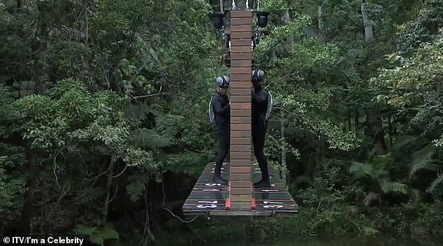 The two celebrities look like you've never seen them before, in gray wetsuits with wings pinned to their backs