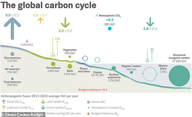 In order to bring the carbon cycle back into balance, the amount of carbon dioxide emissions from burning fossil fuels must be reduced to a point at which they can be offset by carbon capture.